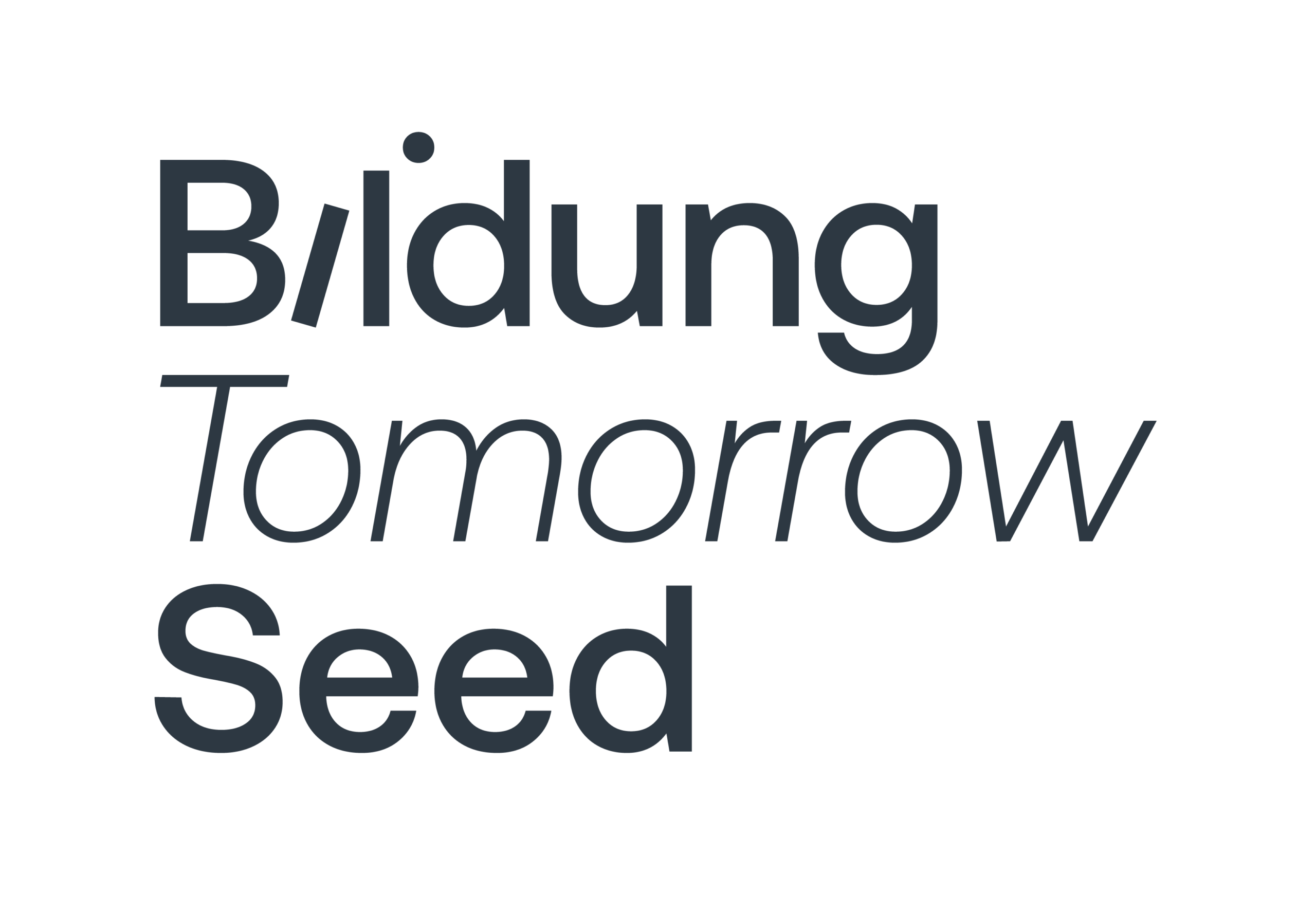 Stiftung Bildung tomorrow