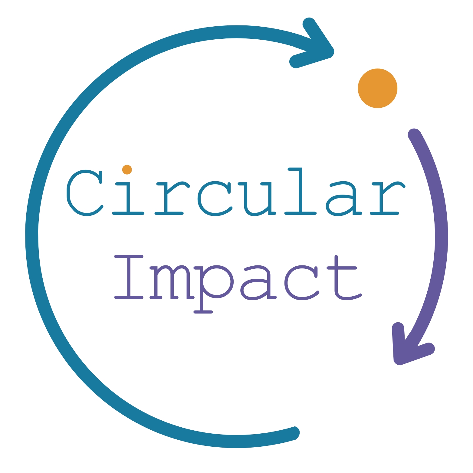 Circular Impact – Wirkung im Kreislauf